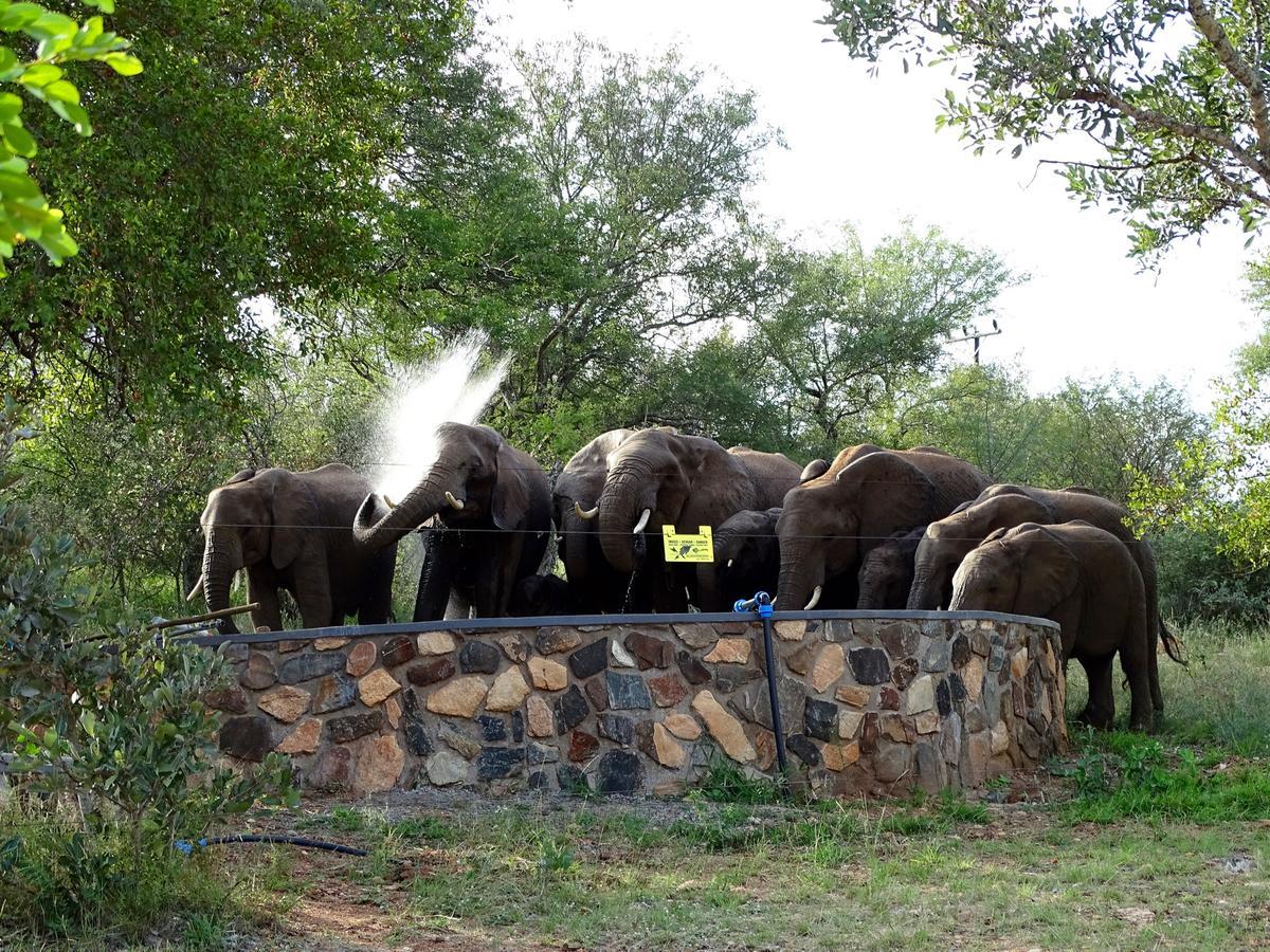 Emhosheni River Lodge Balule viltreservat Exteriör bild