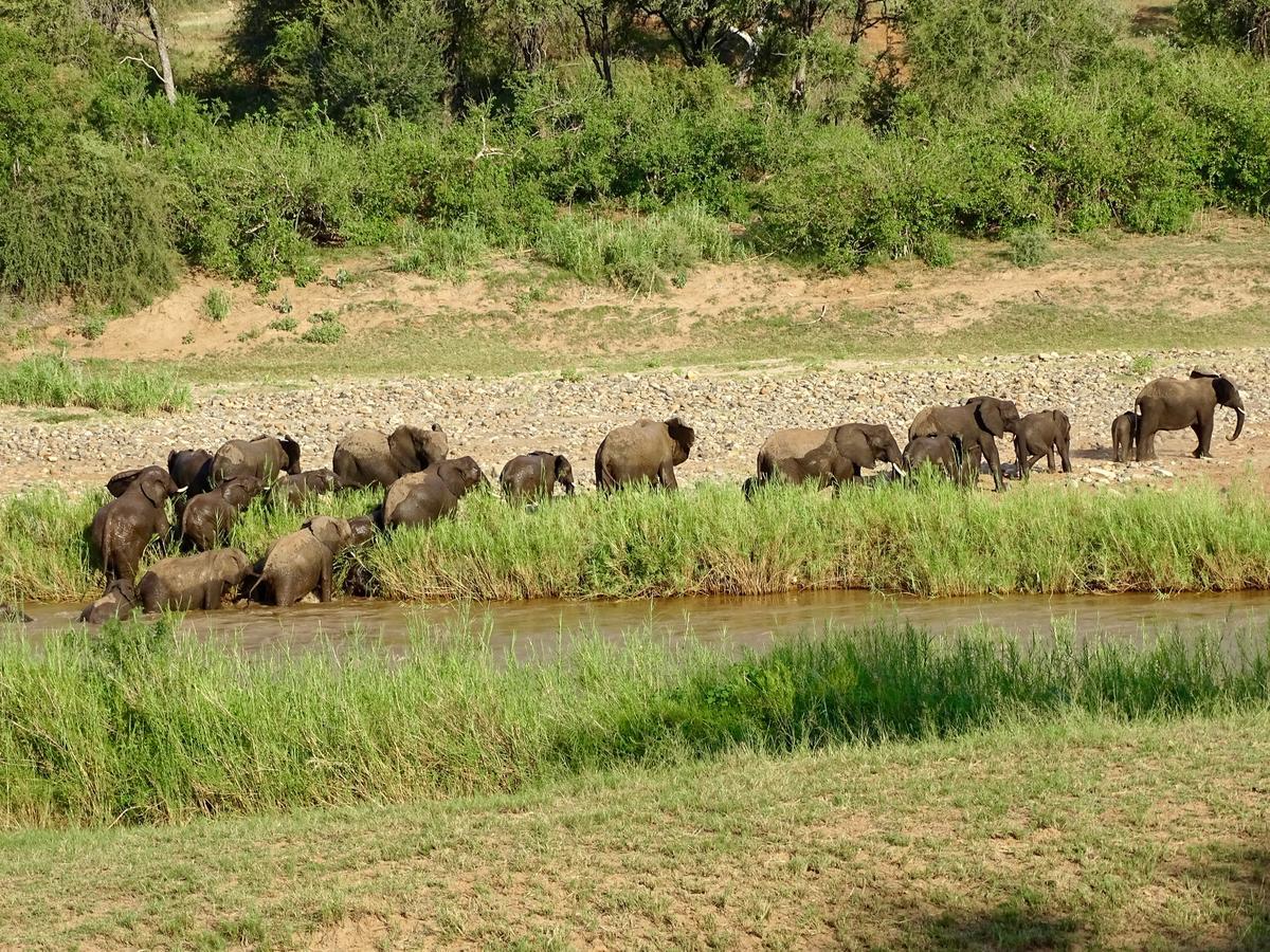 Emhosheni River Lodge Balule viltreservat Exteriör bild