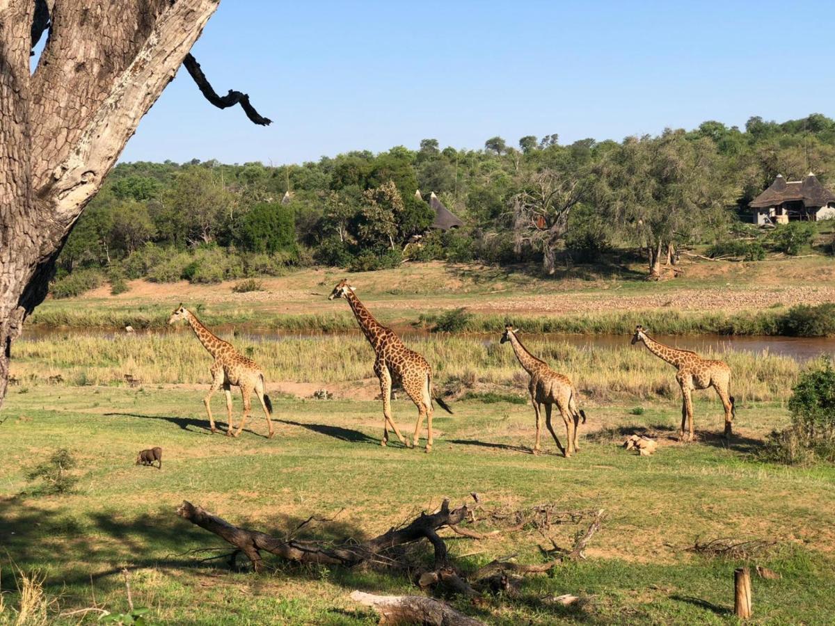 Emhosheni River Lodge Balule viltreservat Exteriör bild