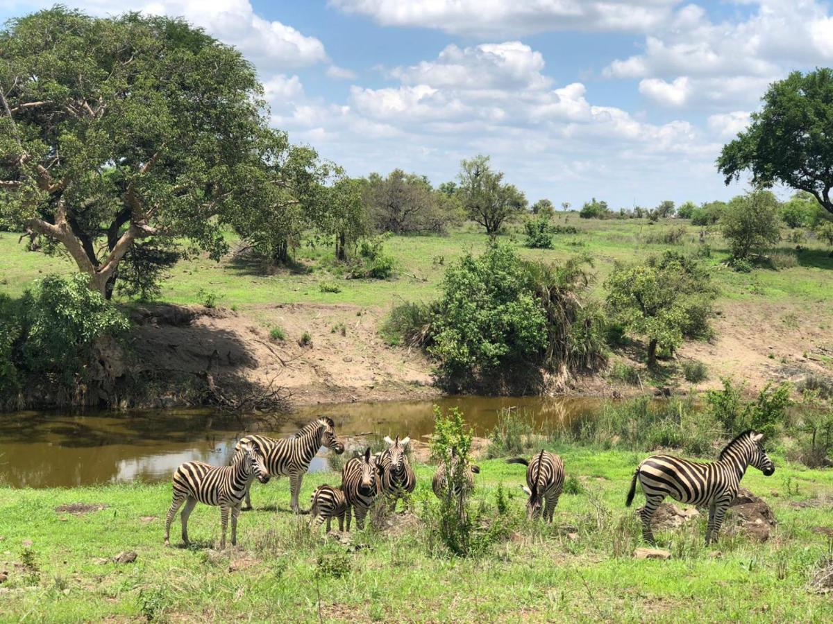 Emhosheni River Lodge Balule viltreservat Exteriör bild