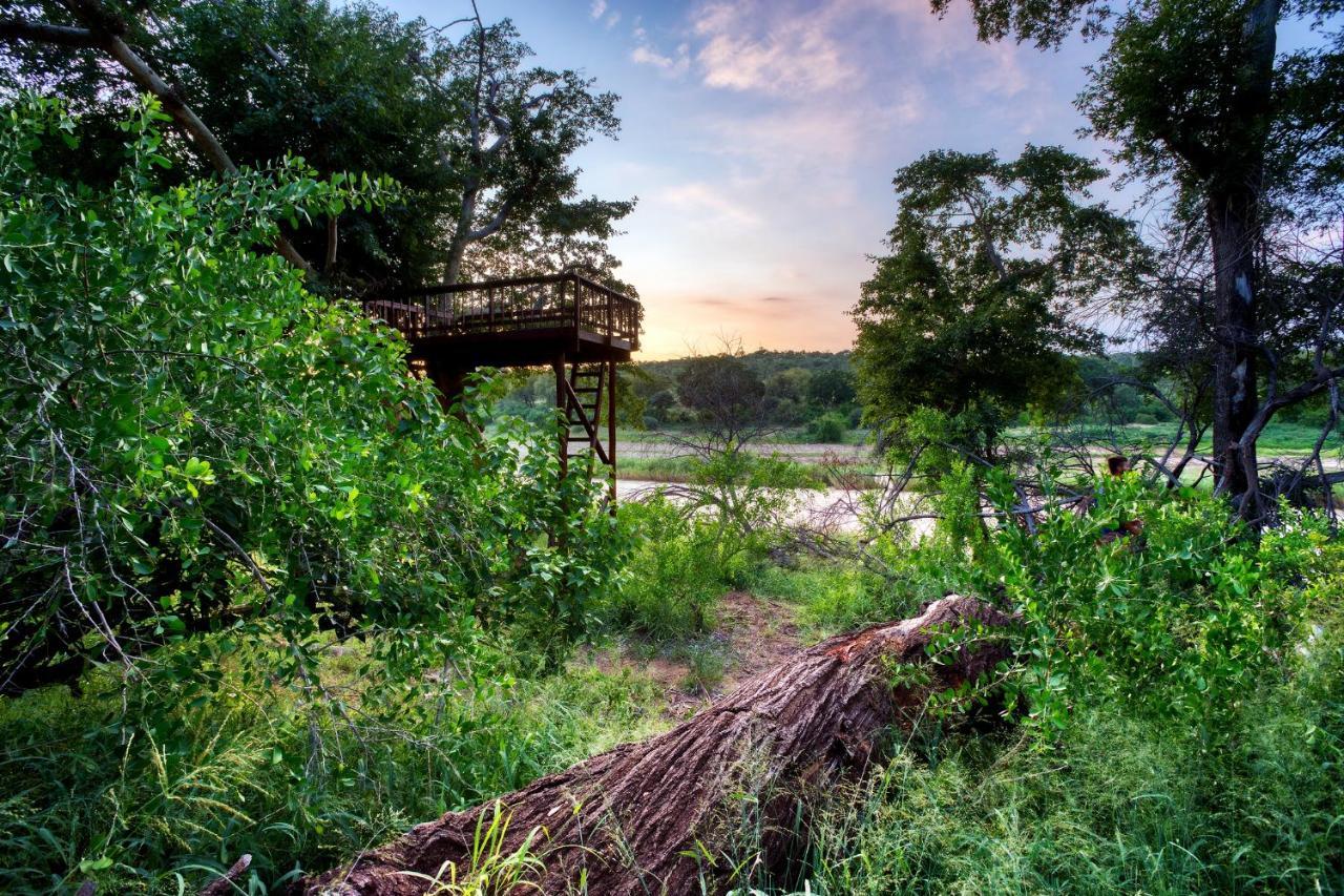 Emhosheni River Lodge Balule viltreservat Exteriör bild